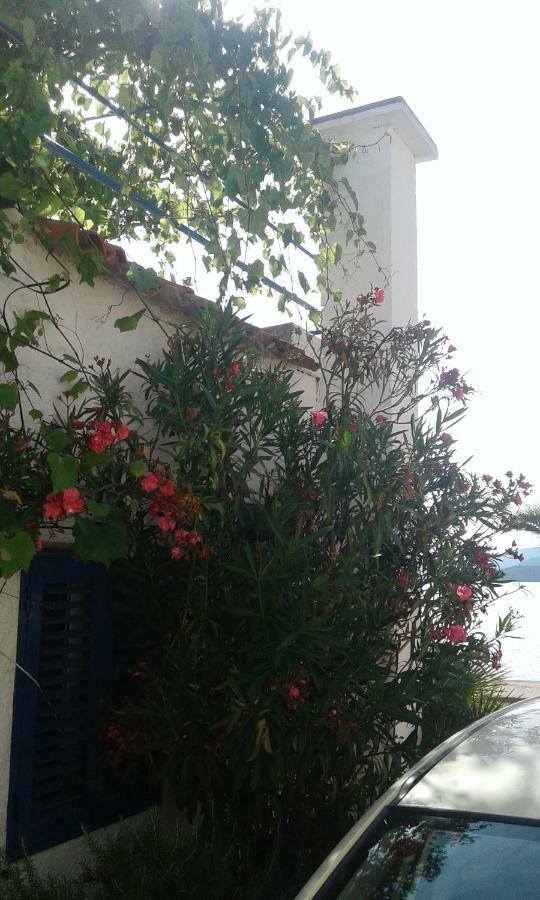 House Kapetan Nono Villa Drace Exterior photo